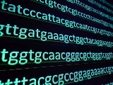 米Twist Bioscience社、米Regeneron社と集団遺伝学ジェノタイピングアッセイで協力