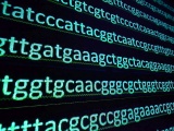 2022年度開始のゲノムデータ利活用、データ入力の人員配置が急務