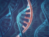 チューリッヒ工科大、生体分子コンピューティングによる遺伝子治療を開発