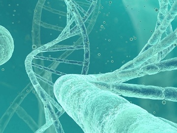 神戸大など、両生類を多種検出できる環境DNA分析プライマーを開発