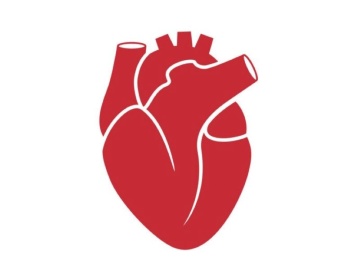 米Maryland大など、遺伝子改変ブタ心臓を移植した患者の死亡を公表