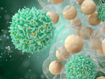 英サンガー研など、T細胞活性化に関わる遺伝子の変異と免疫疾患の関連性を発見