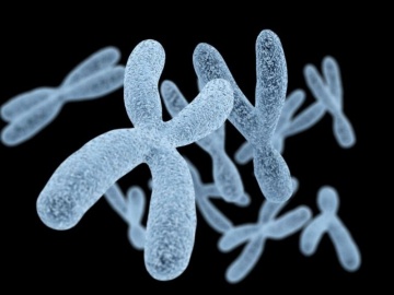 英Cambridge大など、幅広いがんで17種類の染色体不安定性を発見