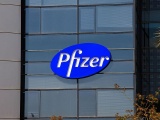 Pfizer社、仏Valneva社に出資しライム病ワクチンの第3相試験を支援