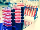 米Charles River社、英サイエンスパーク内に細胞・遺伝子治療の製造施設を開設