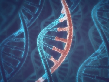 米Applied DNA社、無細胞の線形DNA合成系のPR活動を開始