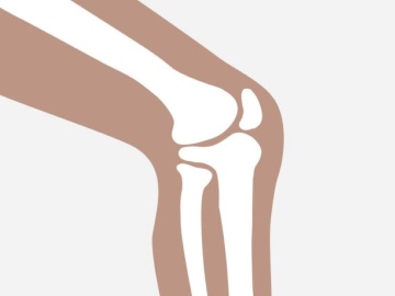 変形性膝関節症、Novartis社の再生誘導薬などが開発中