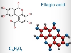 エラグ酸の構造（画像：123RF）