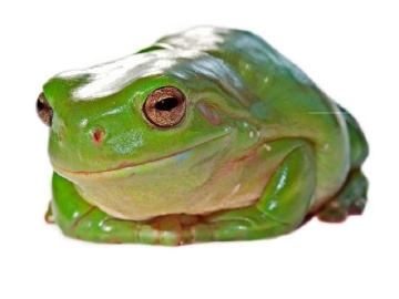 4割近い病院で冬季賞与が減額