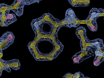 クライオ電顕で生体分子の3D構造解明が加速