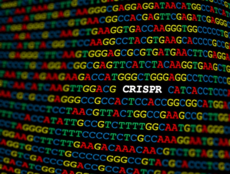CRISPR/Cas9の世界の特許動向