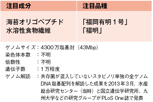 スサビノリ(荒び海苔)